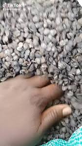 Dried Locust Beans (Iru) – The Secret to Flavorful ...