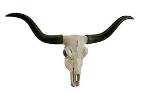 Handcrafted 20-Inch Black & Bone Longhorn Trophy Skull Wall Sculpture - Realistic Faux Steer Head with Intricate Detailing, Southwestern and Western Home Decor : Home & Kitchen - Amazon.com