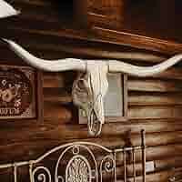 LINYTHER Decoración de pared de cuernos de toro, cuernos de dirección de cabeza de toro para camión, decoración de bisonte de pared de cráneo de búfalo de cuerno largo, respetuosa con el medio : Hogar y Cocina - Amazon.com
