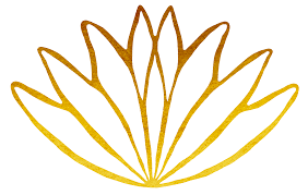 Payment Process - River Oaks Psychology