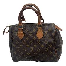 Louis Vuitton Speedy Handbag