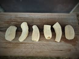 Luffas for Dogs – Luffa Gardens