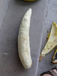 Luffa harvest! : r/vegetablegardening