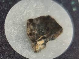 Boxed Moon Rock Slice -lunar Meteorite NWA 11182- 0.70 Grams ...