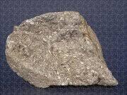 Fossiliferous Limestone by A.b. Joyce