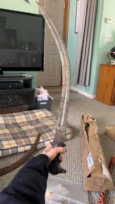 Anyone know anything ab this sword? History? Country etc ...