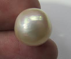20.6 cts graded high luster cream color Pearl PP 516