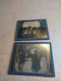 Antique Magic Lantern Glass Photo Slides Lot Puppies ...