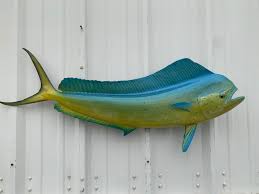 42 Inch Bull Dolphin Fish Mount Replica Reproduction For Sale