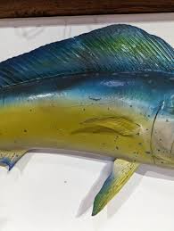 Sold at Auction: BULL HEAD MAHI MAHI TAXIDERMY MOUNT