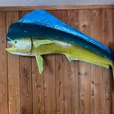 Mahi Mahi Fish Mount For Wall for Sale in Tarpon Springs, FL - OfferUp