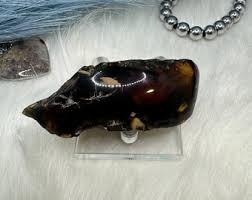 Indonesian Blue Amber Specimen: Partially Polished Fossil ...