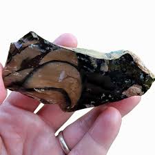 Orbicular Whisky Creek Jasper Rough Chunk! RARE!