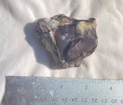 Chert - Gem Quality | Mine That Rock