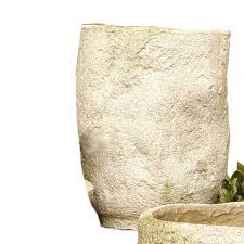 Rough Hewn Bowl #3 15H Garden Display