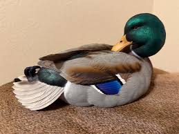 Ducks Unlimited #3 Mallard Drake Full Size Decoy by Jett ...