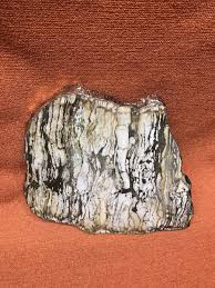 VTG Petrified Wood Silver & Gold Edged Platter Mineral ...