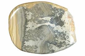 3.6" Triassic Aged Stromatolite Fossil - England (#285794 ...