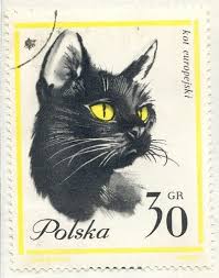 837 NORTHWEST TERR. FDC MARIETTA, OH PLANTY P49 REID CACHET cats $40 | eBay