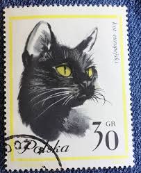 Preços baixos em Selos de Gatos POLONÊS | eBay