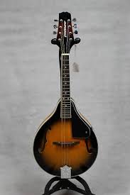 Alfreds Teach Yourself To Play Mandolin Firebrand Mandolin | Reverb