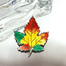 Sterling Canadian Enamel Maple Leaf Brooch - Etsy New Zealand
