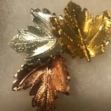 Premier Designs | Jewelry | Premier Designs Leaf Pin | Poshmark