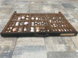 Antique Printets Tray with Shells | eBay
