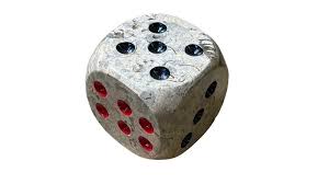 Fossil Coral 2" Dice - V-Rock Shop - Gift Items - V-Rock Shop