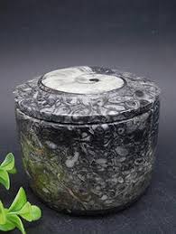 Poseidon Variscite Rock Stone Lapidary Specimen