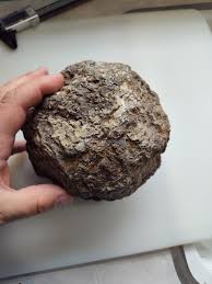 Extra Large Thunder Egg. Uncut - Etsy