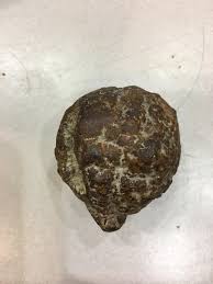 It's very heavy, but not magnetic. Corpralite or secretion? : r/whatsthisrock