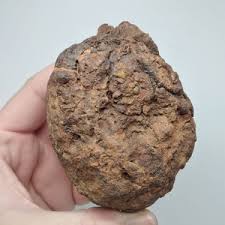 Wolf Creek -Australia- Iron meteorite - 10×6.5×6 cm - 598 g in Spain