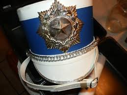 Vintage Band Shako Hat With Plume Military, Adult/Teen, Comes with Case | eBay