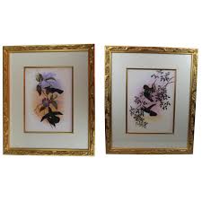 Pasargad Gould Hummingbirds Painting- a Pair | Chairish