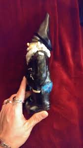 Awesome Biker Garden Gnome | eBay