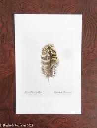 Great Horned Feather(mini Print) - Etsy