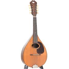 Martin Style B Mandolin (1919) – Elderly Instruments