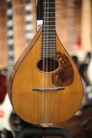 Oliver Ditson New York Style B Mandolin 1900's - 20394857639845