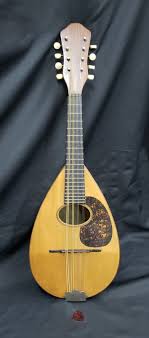 1916 C.F. Martin Bowl Back Mandolin in Mint Condition GS00713 | eBay