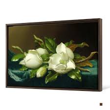 Martin Johnson Heade,magnolias on Light Blue Velvet Cloth ...