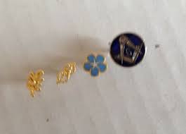 Lot de pins acacia, myosotis, lac d'amour, assortis franc ...