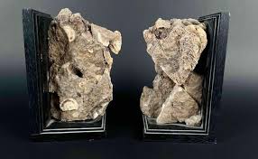 Sold at Auction: Pair of Ammonite Cluster Bookends