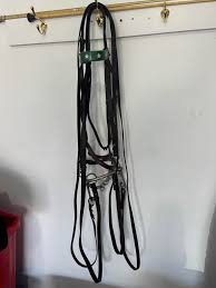 This is a vintage Billy Royal western saddle. I purchased this in 1974 from Schneider's. Used it to show Arab western pleasure for a few years and it has been stored inside