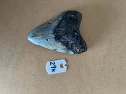 4.0" Inch Megalodon Shark Tooth #29K ** Please read details ...