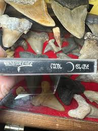 1994 BENEVOLENCE TOTAL ECLIPSE POWER THRASH METAL CASSETTE WISCONSIN RARE | eBay