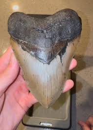 Can you solve these riddles to find the buried treasure? : r/mystery