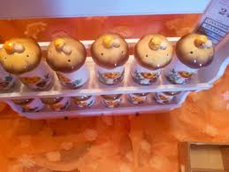 NEW MERRY MUSHROOM SPICE RACK SET NEW SPICE JARS( IN ORIGINAL BOXES)