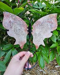 Fossilized Coral Butterfly Wing Set - Etsy