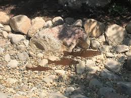 Large Fish Garden Art, Set of 3 Fish, Trout Metal Garden ...